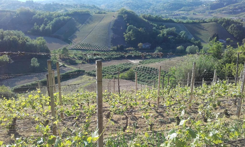 Penzion Ca D' Rot - Casa Ratti Vinchio Exteriér fotografie